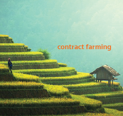 Contract Farming กับ การปฏิบัติต่อคู่ค้าอย่างเป็นธรรม