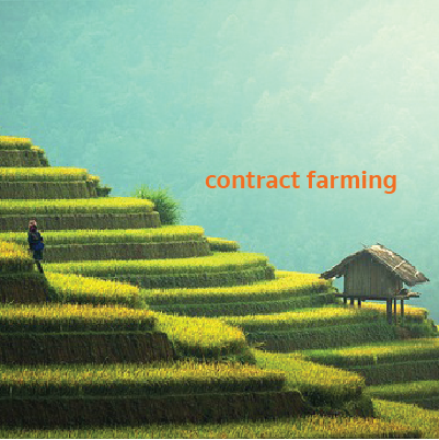 Contract Farming กับ การปฏิบัติต่อคู่ค้าอย่างเป็นธรรม