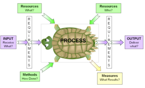 turtle-diagram