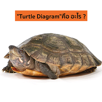 "Turtle Diagram"คือ อะไร ?
