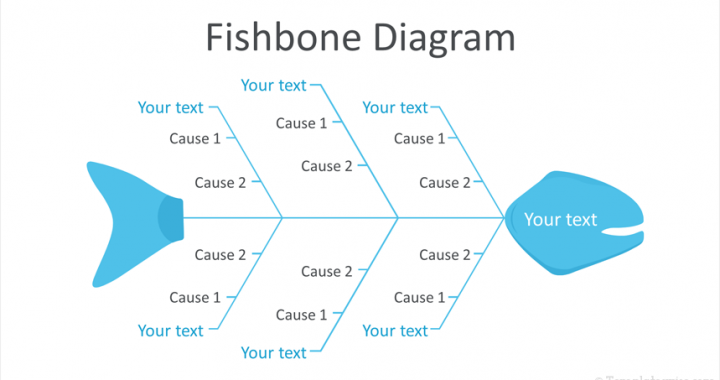 ผังก้างปลา (Fish Bone Diagram)